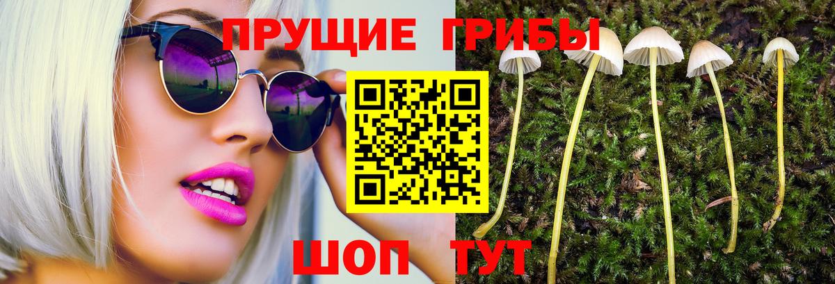 Протвино  Псилоцибиновые грибы Psilocybine cubensis  Вход с VPN  Галлюциногенные грибы ЛСД 